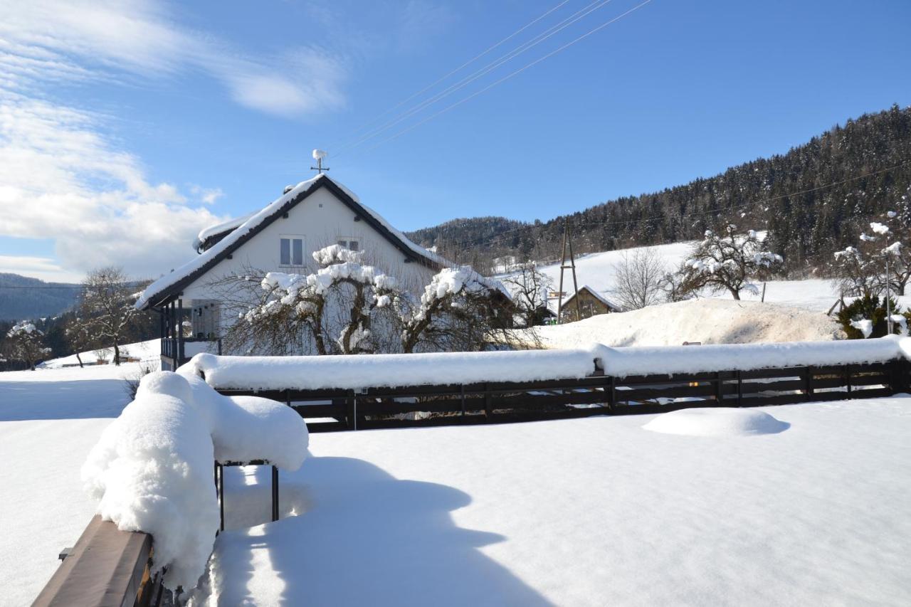 Nikolaierhaus Feldkirchen in Kärnten Exterior foto